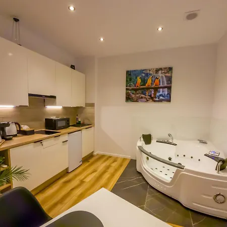 Punkt - Apartamenty Z Jacuzzi W Centrum Katowic Катовіце Екстер'єр фото